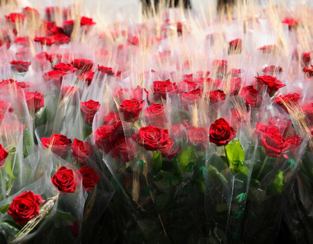 miniatura sant jordi